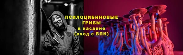 дурь Кукмор