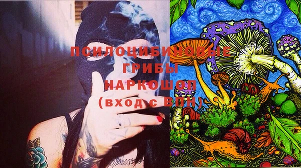 ГАЛЛЮЦИНОГЕННЫЕ ГРИБЫ Краснослободск