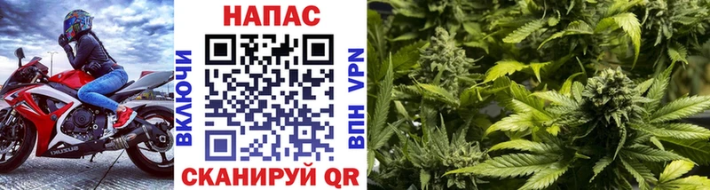 shop состав  Невель  Шишки марихуана планчик 